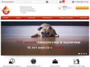 Каталог напольных покрытий в Новосибирске | Купить недорогое напольное покрытие в интернет