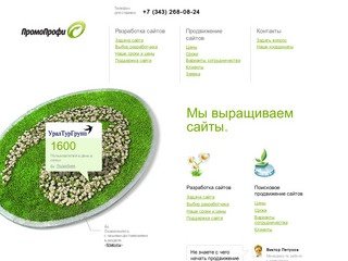 Разработка и продвижение сайтов от ПромоПрофи, Екатеринбург