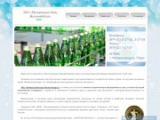 ЗАО «Минеральные воды Железноводска» – производство минеральной и питьевой воды высшего качества
