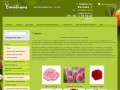 Доставка цветов Серов. Интернет магазин цветов Emotions – цветы оптом и в розницу в Серове