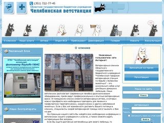 Информационный сайт челябинский