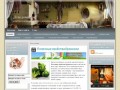 "Дела домашние" - сайт о помощи в ведении домашних дел (Оренбургская область, г. Бузулук, Николай)