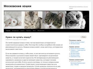 Московские кошки