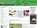 Усатые Полосатые - Общество защиты животных г.Учалы