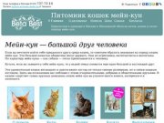 Питомник мейн-кун: коты, кошки и котята мейн-кун в Москве