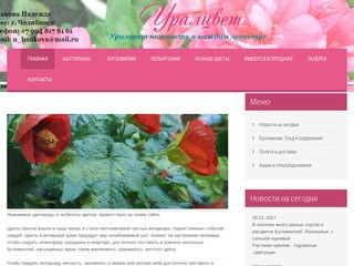 Купить комнатные цветы в Челябинске