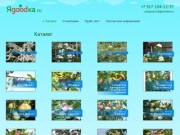 Яgoodка.ru | Продажа саженцев плодовых и ягодных культур в Самаре