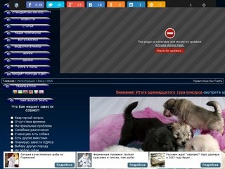 Официальный сайт. ОДИС-Одесская Домашняя Идеальная Собака