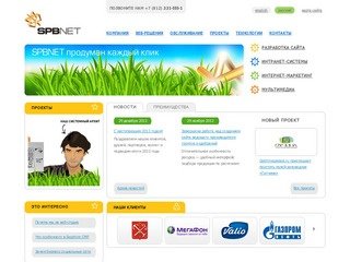 Разработка веб сайтов, комплексный интернет маркетинг, обслуживание | Петербург (СПб)