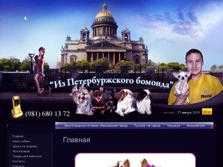 Многопородный питомник, йоркширский терьер, русский той терьер