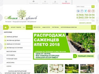Ландшафтный дизайн в питомнике растений в Казани