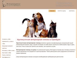 Круглосуточная ветеринарная клиника в Оренбурге | Ветеринарные услуги