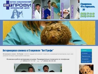 Ветеринарная клиника в Ставрополе 