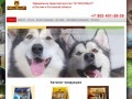 Покупайте корма для собак суперпремиум класса в Ростове, Сочи