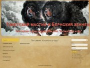Питомник собак породы Тибетский мастиф и бернский зенненхунд в краснодаре и краснодарском крае