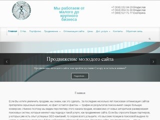 Продвижение, администрирование, поддержка и доработка сайтов! (Россия, Ростовская область, Таганрог)