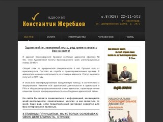 Адвокат Константин Жеребцов