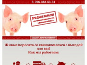 Купить поросят, молочных, маленьких, живых, мясных пород на откорм в Липецке и области