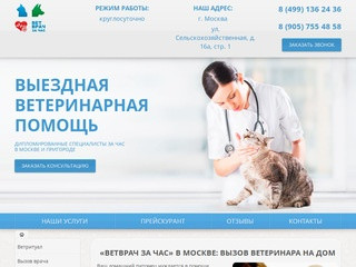 Круглосуточный ветеринар на дом в Москве | Cрочный вызов ветеринара