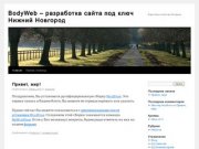 BodyWeb – разработка сайта под ключ Нижний Новгород | Еще один сайт на Wordpress