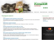 Кошки и котята Кемерово. Продажа и покупка котят в Кемерово. Клубы и питомники Кемерово.