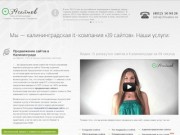 Раскрутка и продвижение сайтов в Калининграде, оптимизация и поддержка сайтов