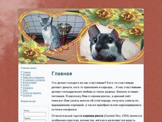 Rexcat.ru