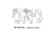 42 енота - сеть бесконтактных автомоек (Могилев) | Сайт в разработке 42enota.by