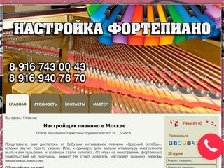 Заменить струны на пианино. Выгодные условия. (Россия, Нижегородская область, Нижний Новгород)