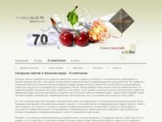 70S: Создание сайтов в Калининграде - О компании