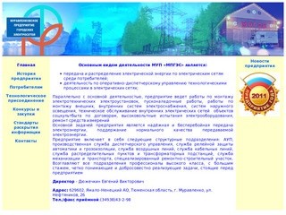 Официальный сайт МУП МПГЭС