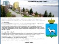 Продвижение сайтов в Самаре, разработка интернет-магазинов - компания "SEO-Зебры"