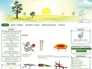 Интернет-магазин детских спортивных комплексов в Братске. Совместные покупки спортивных товаров