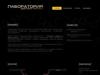 Создание сайтов в Калининграде | Лаборатория доктора Попова