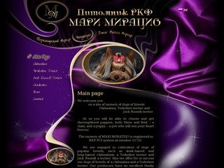 Питомник РКФ «МАРИ МИРАЦИО»  - продажа и разведение щенков чихуахуа