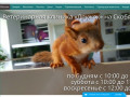 Ветеринарная клиника «Дружок» в Сергиевом Посаде на Скобянке