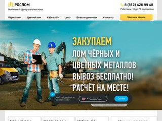 Прием металлолома в Санкт-Петербурге (СПб), сдать лом металлов с вывозом - Рослом