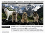 Питомник `Надежный страж` - породы кавказская овчарка и пиренейская горная собака
