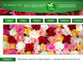 Продажа цветов в Оренбурге оптом и в розницу. Недорого.