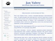 Jan Valery питомник британских кошек - Главная|британские котята в Казани