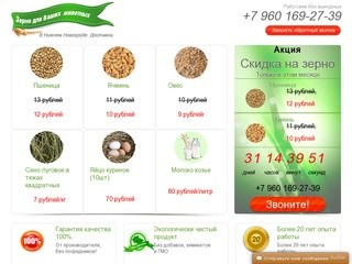 Зерно для Ваших животных | В Нижнем Новгороде. Доставка."