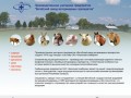 УП «Витебский завод ветеринарных препаратов». Производство ветеринарных препаратов.