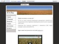 Группа компаний Юг-Рис. Выращивание и переработка рисовой крупы