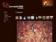 Дмитрий Кох, фотограф, Абакан, Хакасия, Красноярск, свадебный фотограф