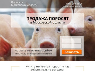 Купить поросят, молочных, маленьких, живых, мясных пород на откорм в Московской области