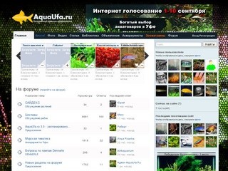 Аквариум Уфа, зоомагазины Уфы, уфимские аквариумисты, купить рыбок в Уфе