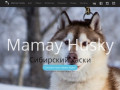 Mamay Husky | Хаски Иркутск