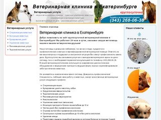 Ветеринарная клиника в Екатеринбурге: круглосуточная ветпомощь и консультации