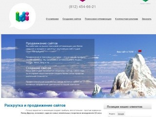 Продвижение сайта - раскрутка сайтов в поисковых системах в Санкт-Петербурге (СПБ)