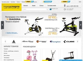 Интернет магазин тренажеров, товаров для спорта Нижнем Новгороде - 
